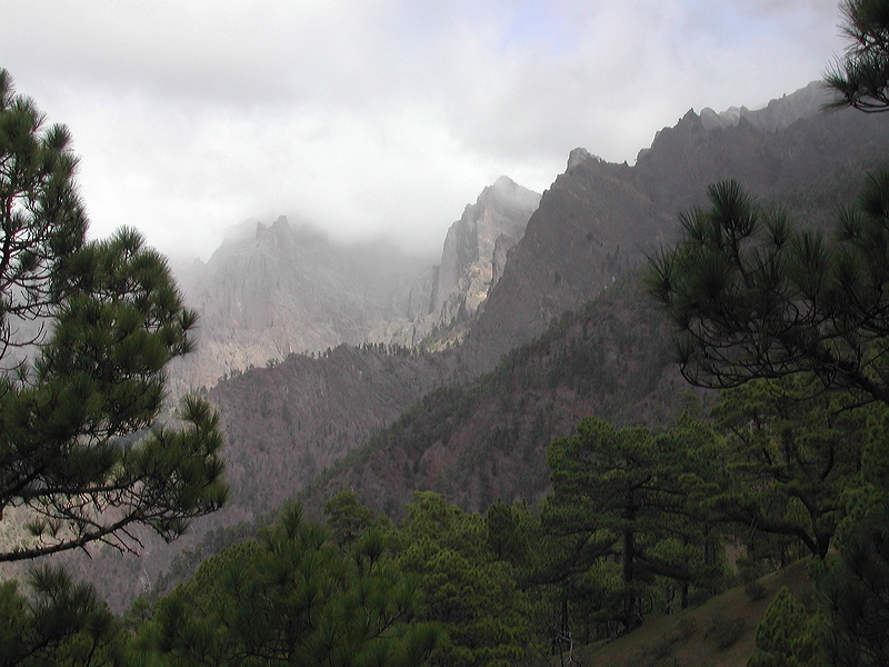 dscn1654.jpg
