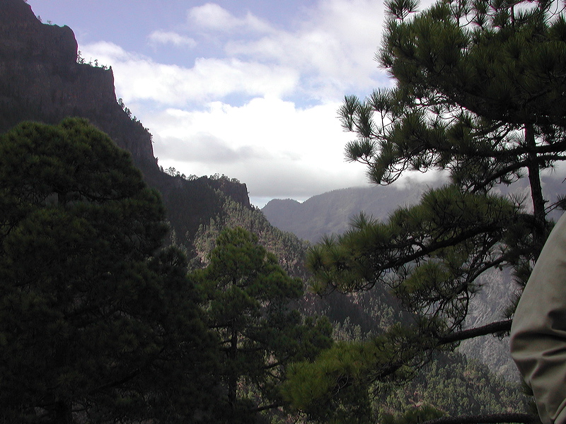 dscn1655.jpg
