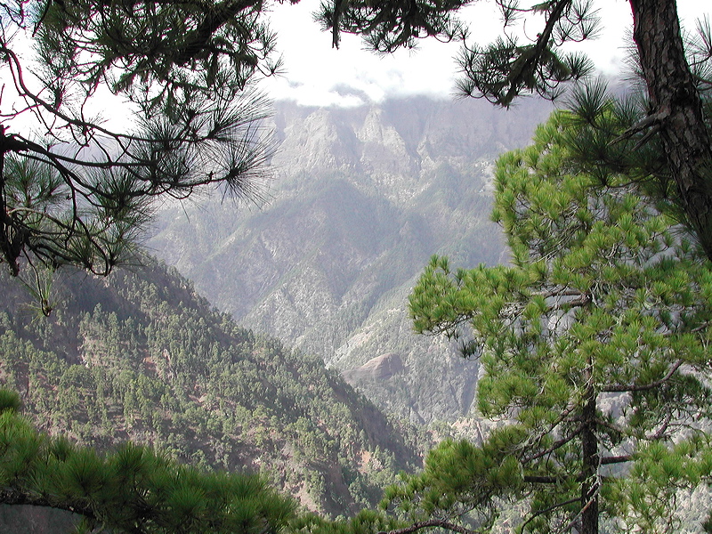dscn1657.jpg